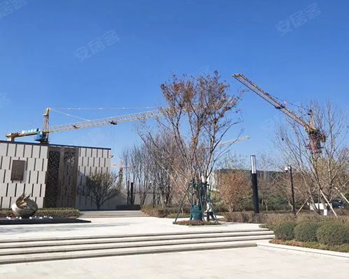 �L�����Ƹ�